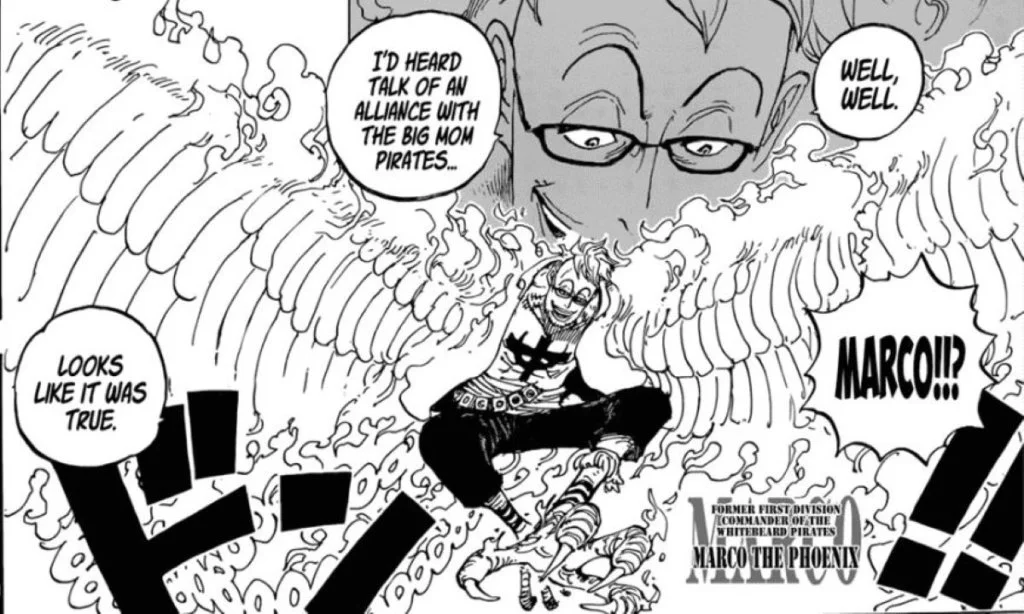 one piece 981 marco