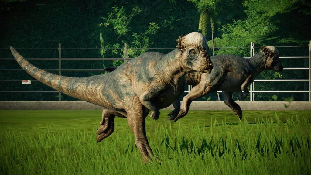 paquicefalosaurio