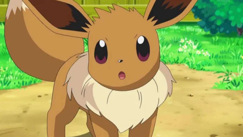 pokémon presents