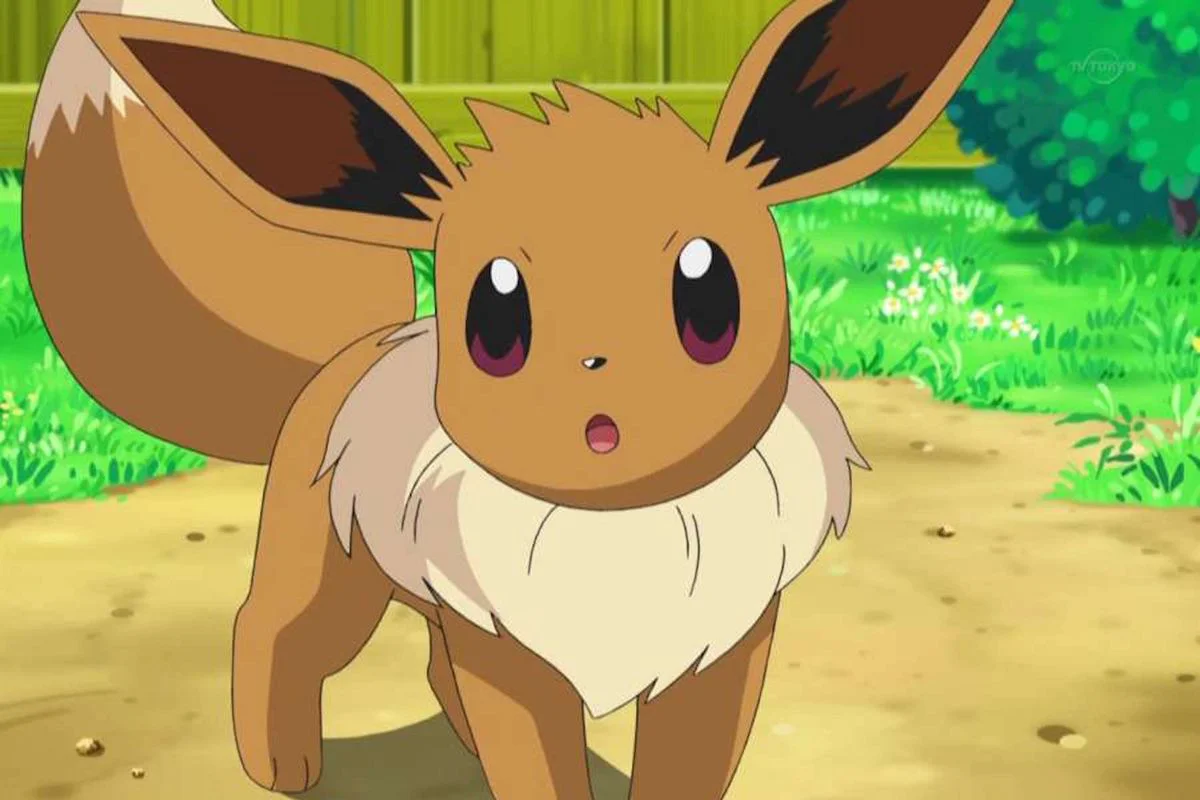 pokémon presents