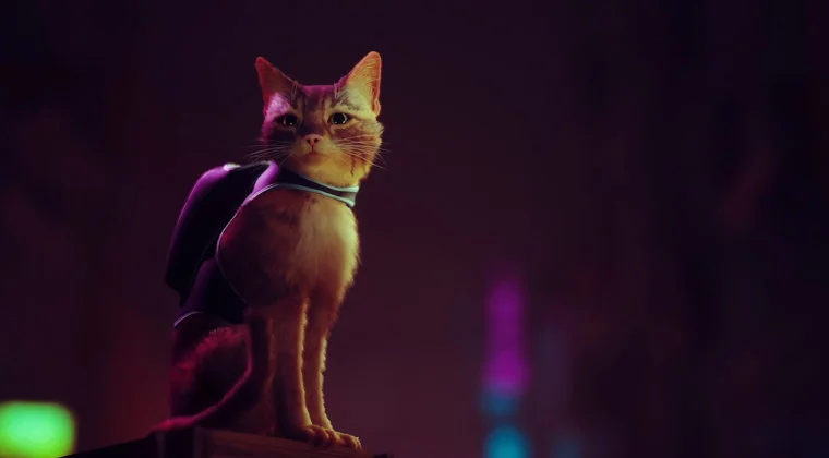 Imagen de Stray también llegará a PS4 y luce un primer gran gameplay pero retrasa su lanzamiento