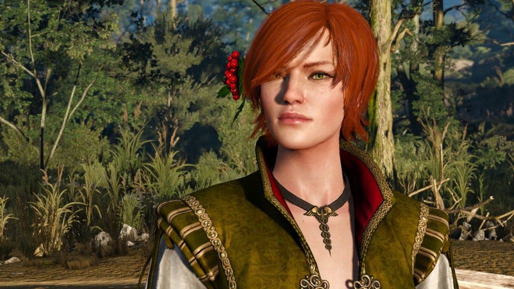 the witcher 3 shani