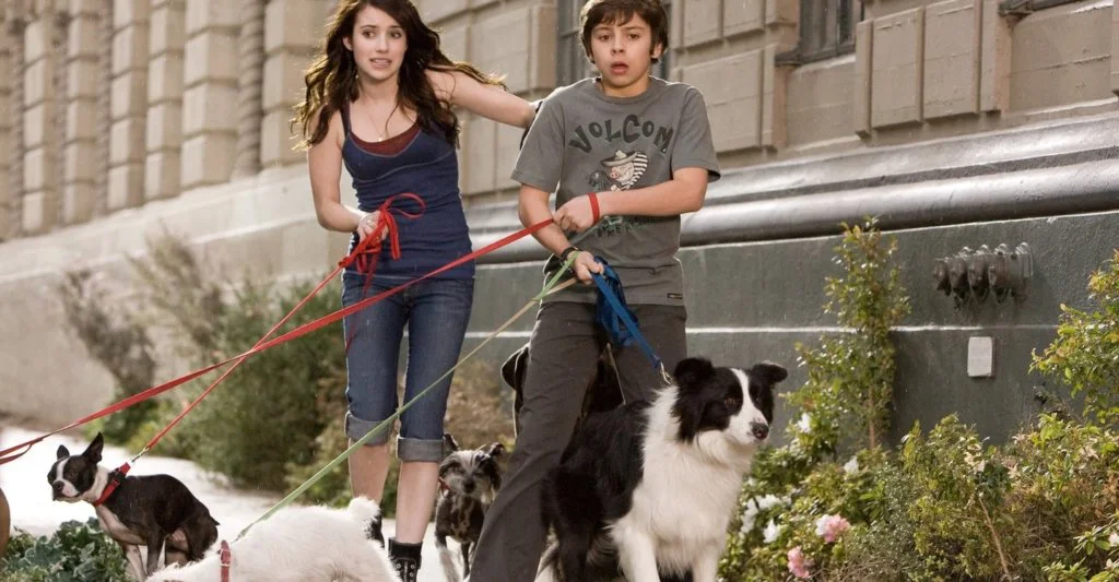hotel para perros