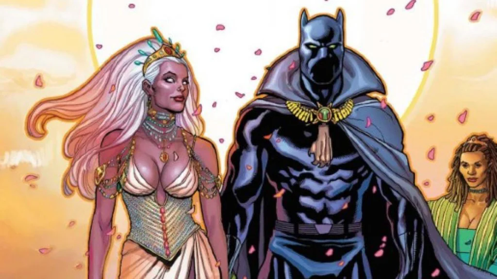 storm y black panther