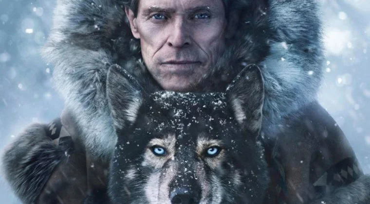 Imagen de Las 5 mejores películas para celebrar el día del perro