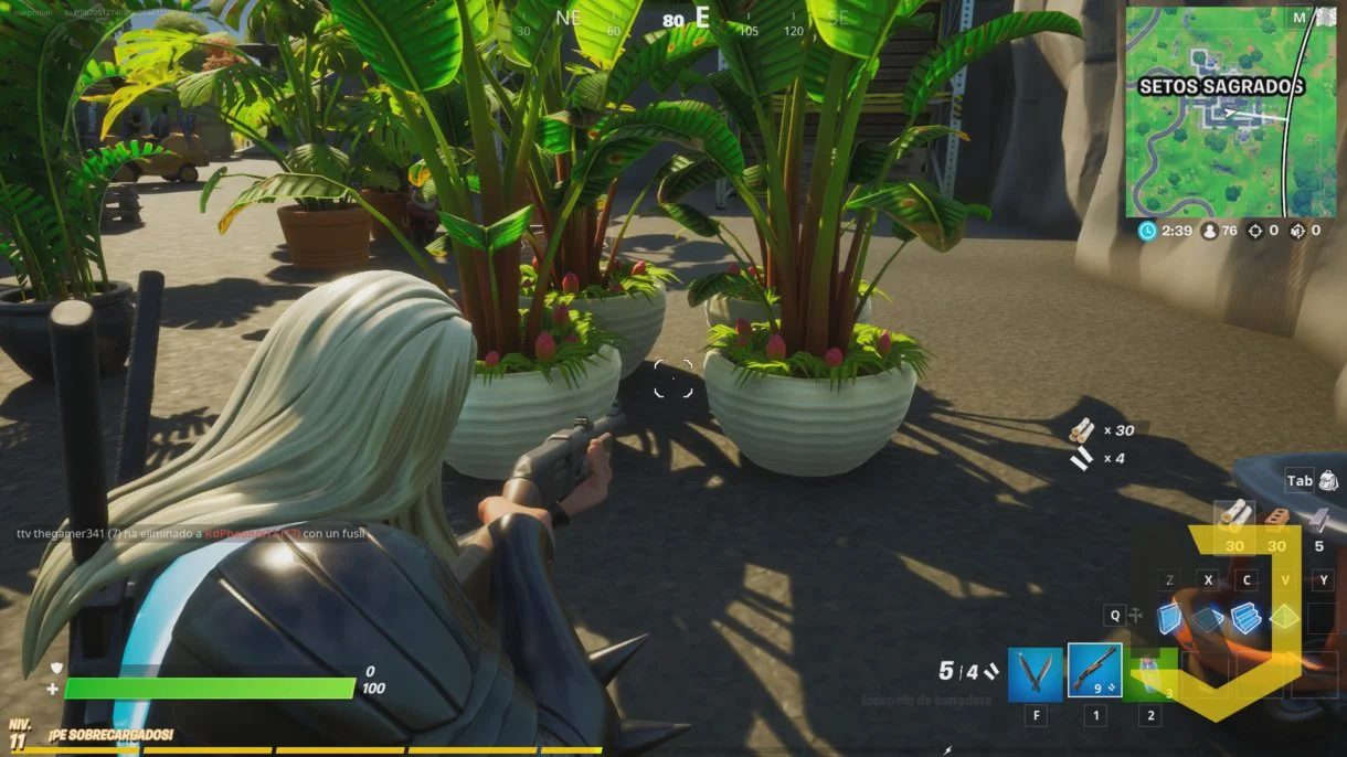 Fortnite arbolito 2