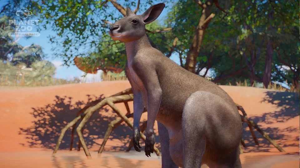 Planet Zoo Australia 4