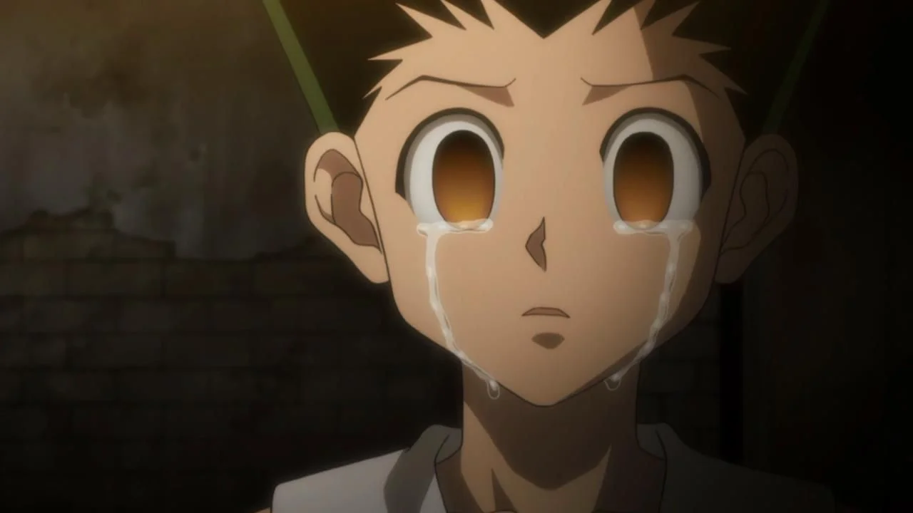 hunter x hunter