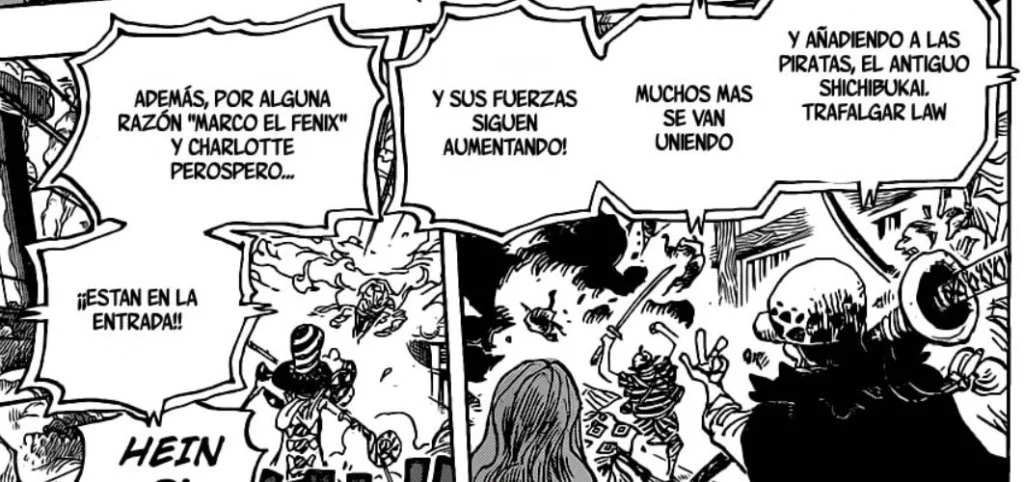one piece 987 alianzas