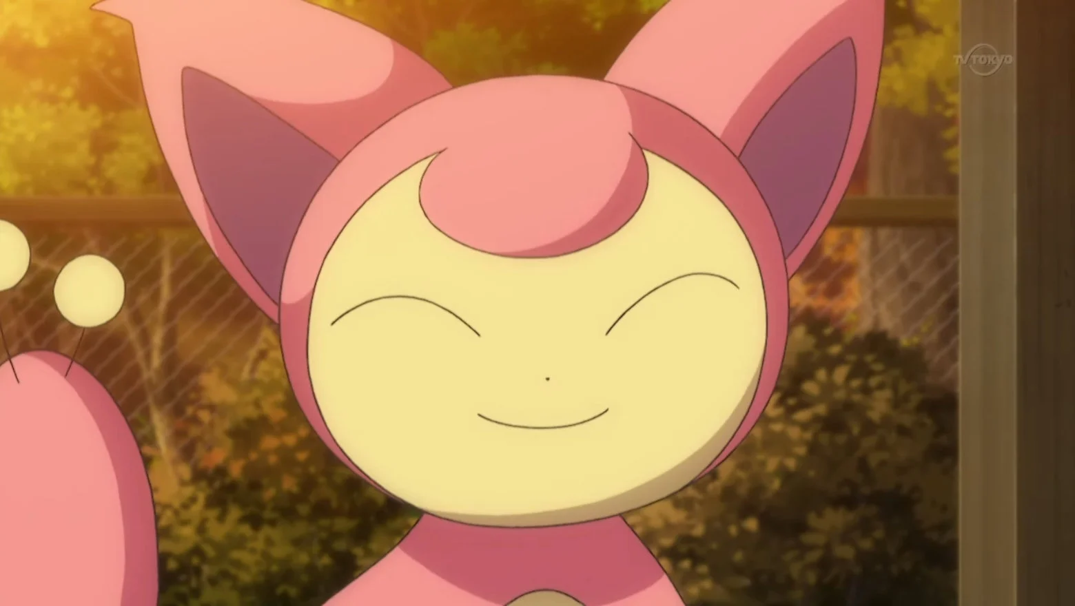 Skitty Pokémon GO