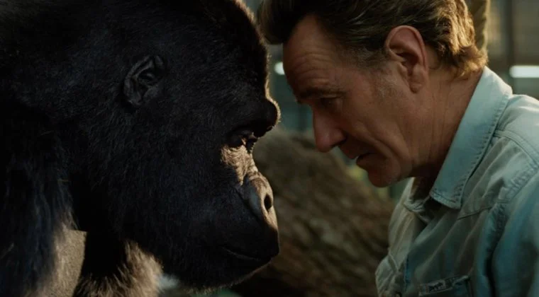 Imagen de Los mejores estrenos que llegan a Disney Plus, Netflix, Amazon y HBO este fin de semana (11 - 13 de septiembre)