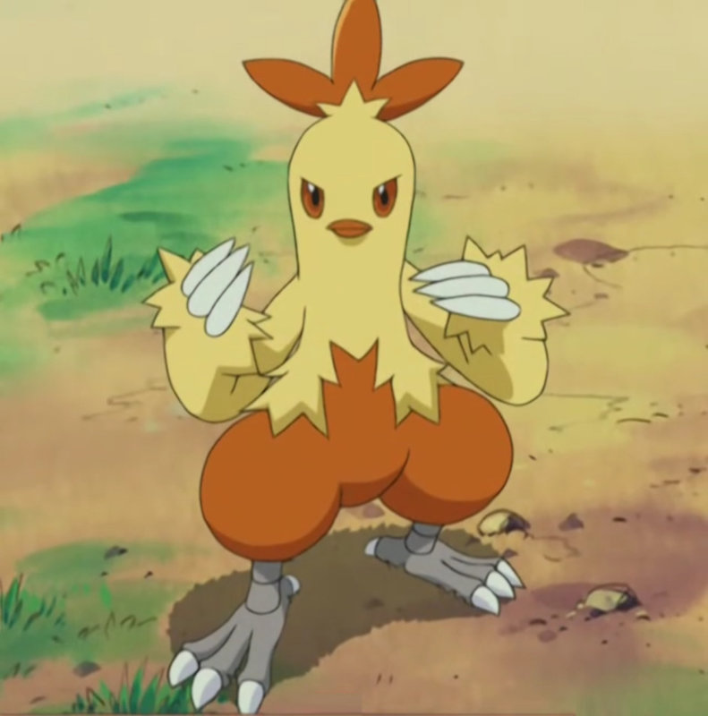 Combusken Pokémon inicial
