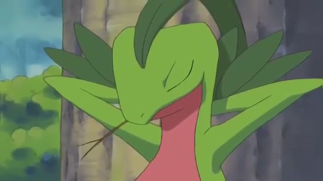 Grovyle Pokémon inicial