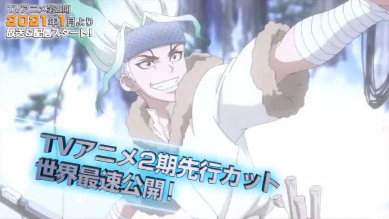 Dr. Stone