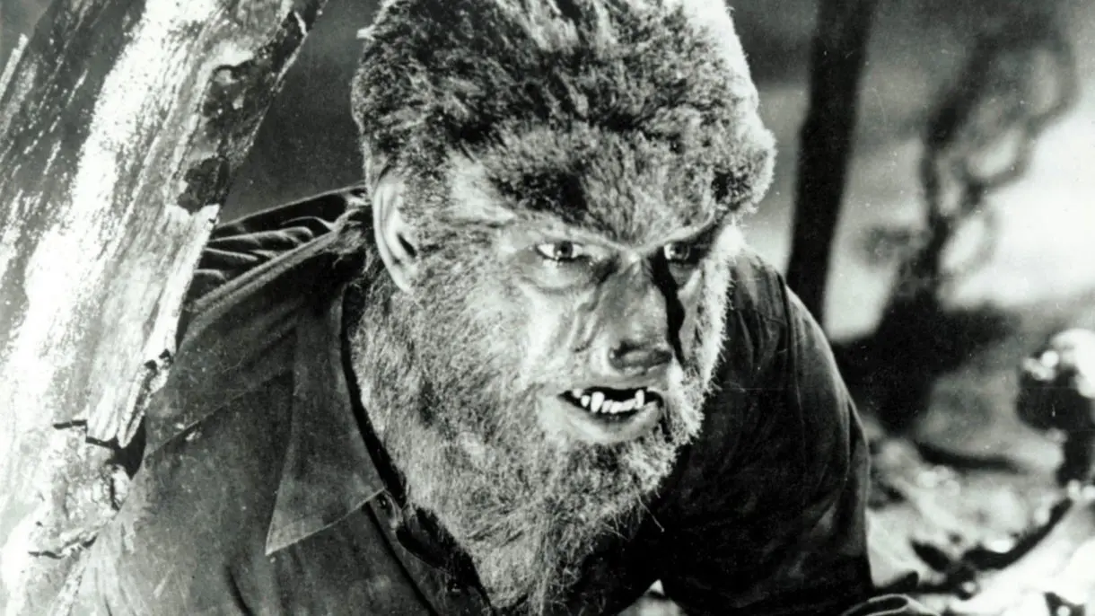 lobo