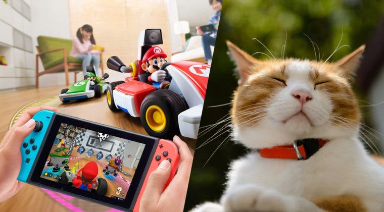 Imagen de Mario Kart Live: Home Circuit y su divertido  'problema' con los gatos se viralizan