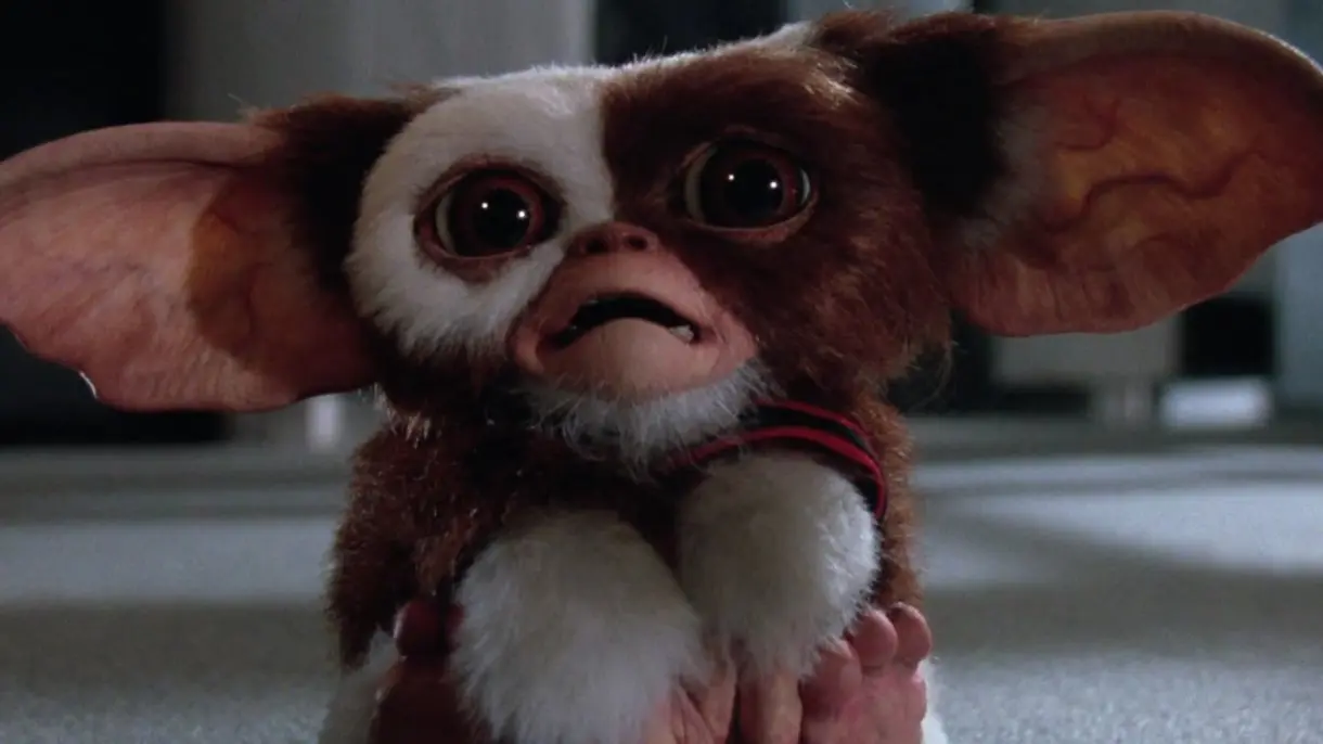 gremlins gizmo 1551171386