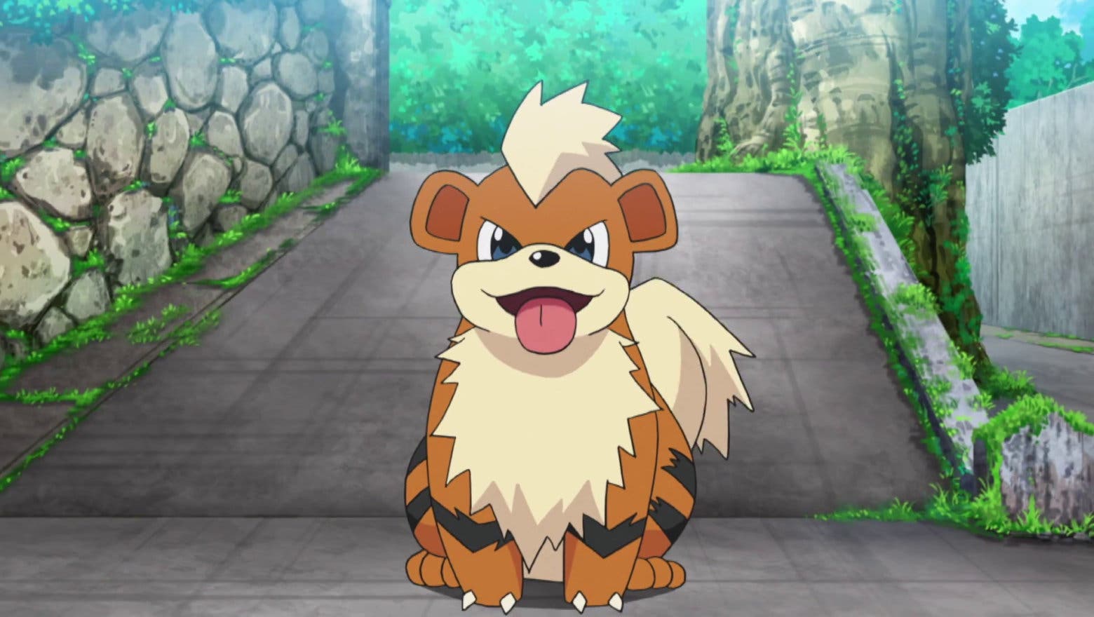 Growlithe Pokemon