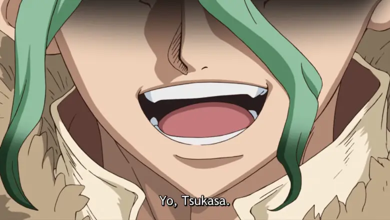 Dr. Stone