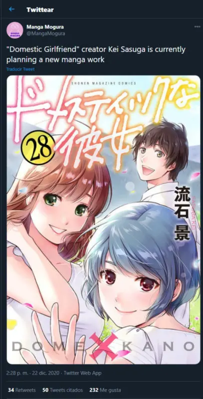 domestic girlfriend