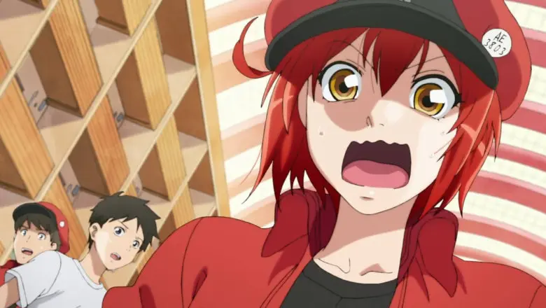 Cells at Work!