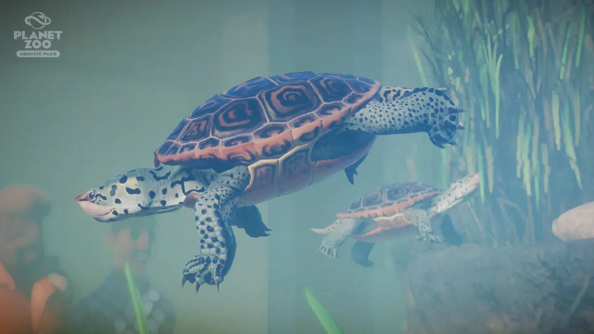 planet zoo aquatic pack 02