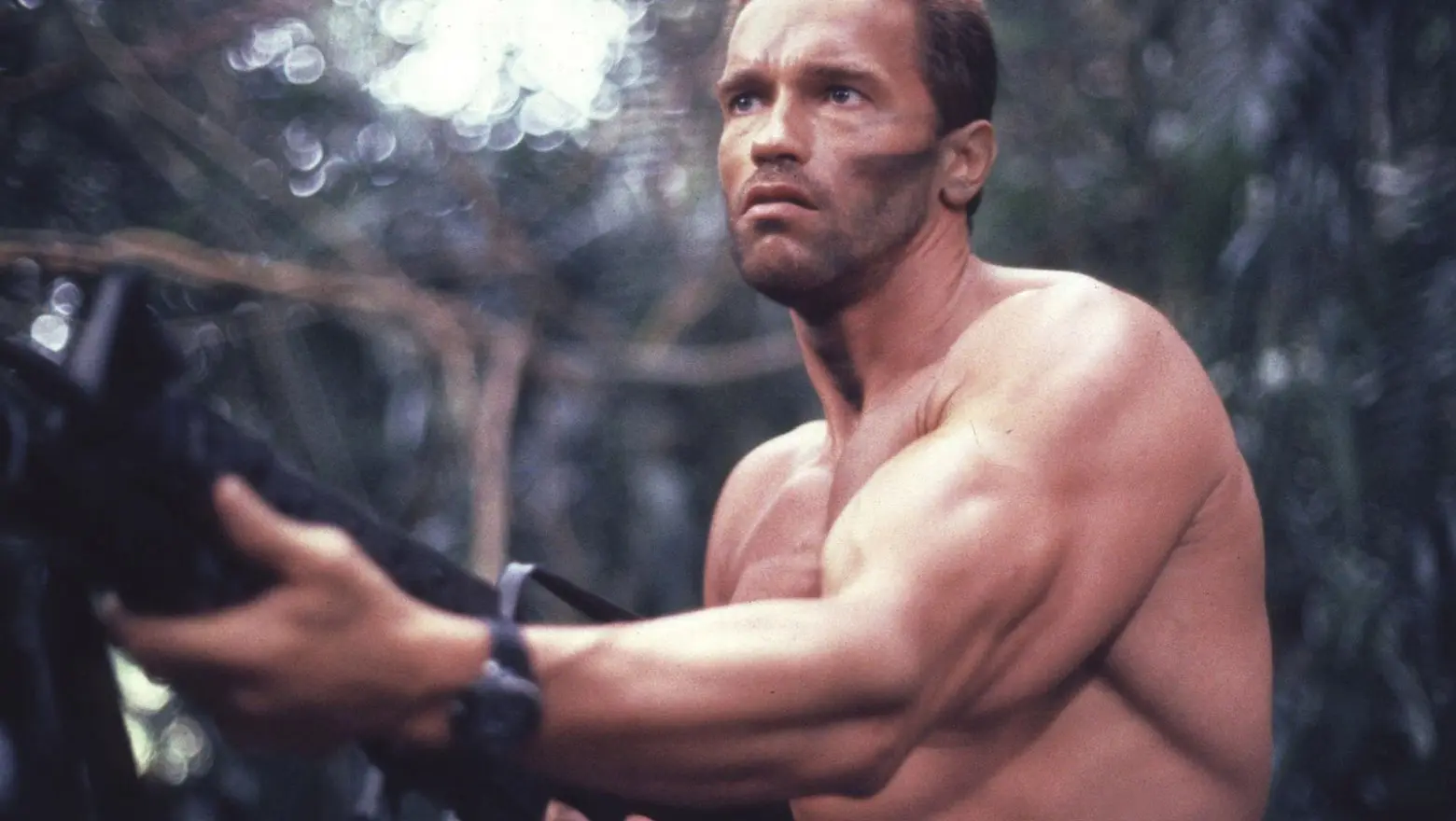 Arnold Schwarzenegger