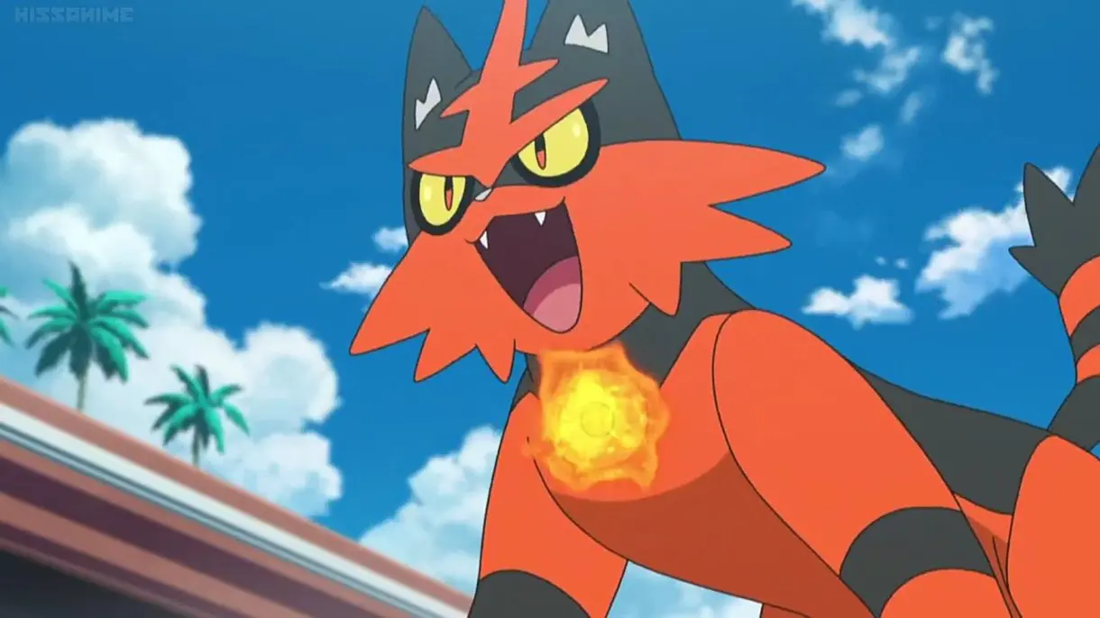 Torracat Pokemon inicial