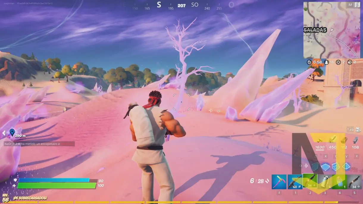 Fortnite