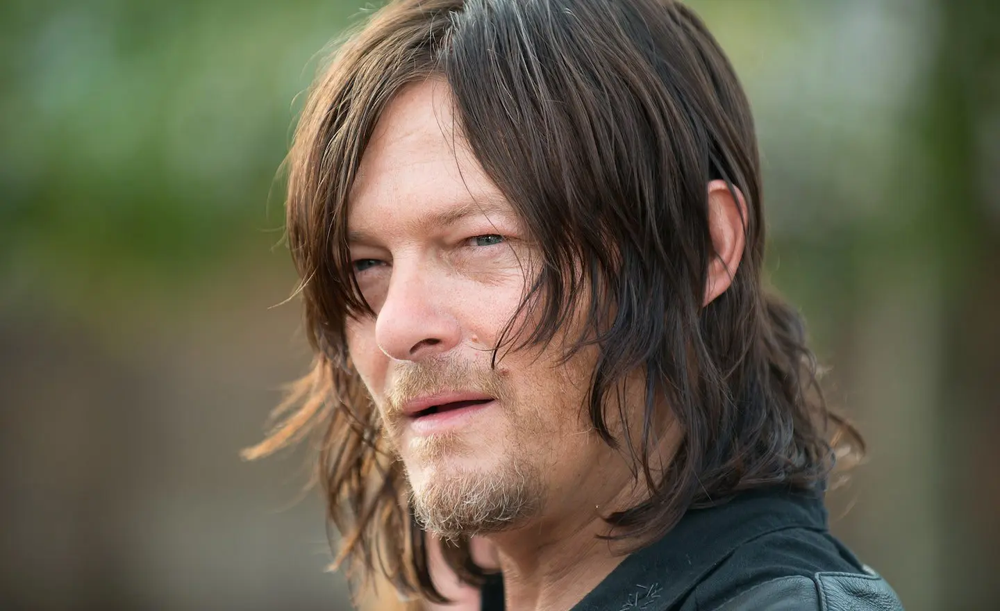 Daryl The Walking Dead