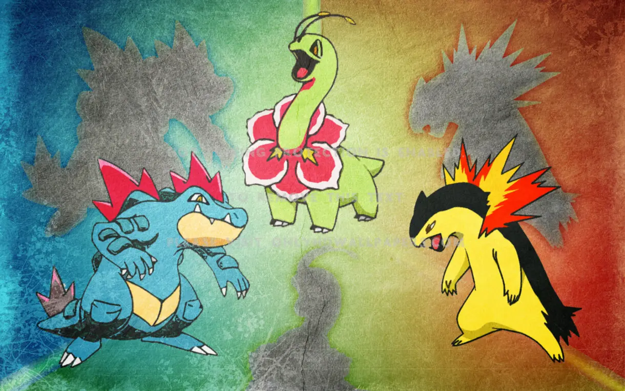 pokemon inicial typhlosion feraligatr meganium