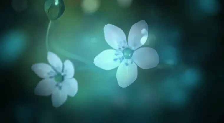 Imagen de Sonnori Corporation anuncia White Day 2: The Flower That Tell Lies, su nuevo juego de terror