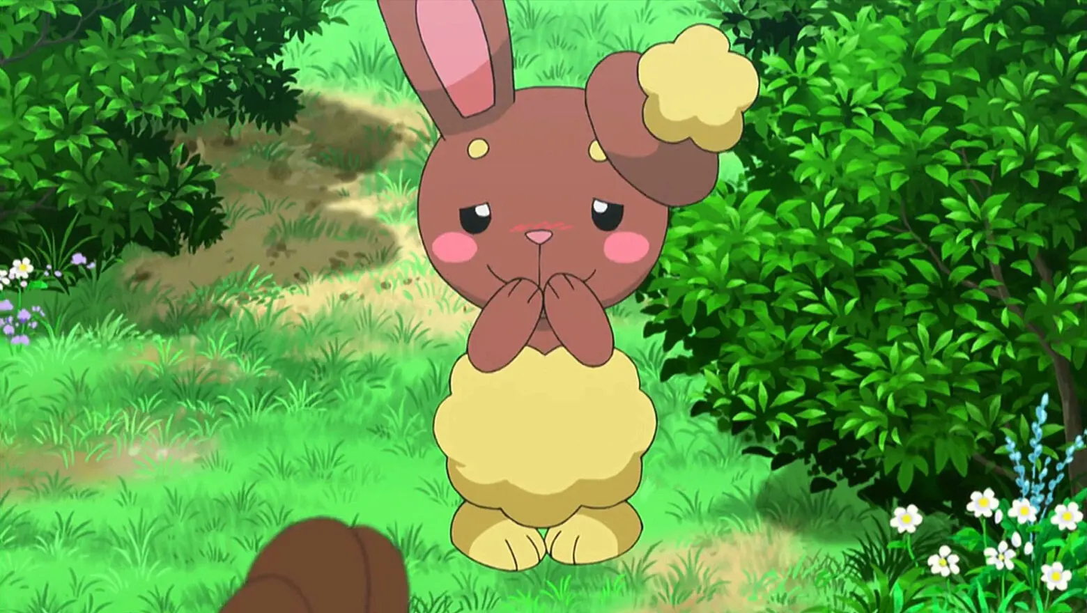 Buneary Pokemon