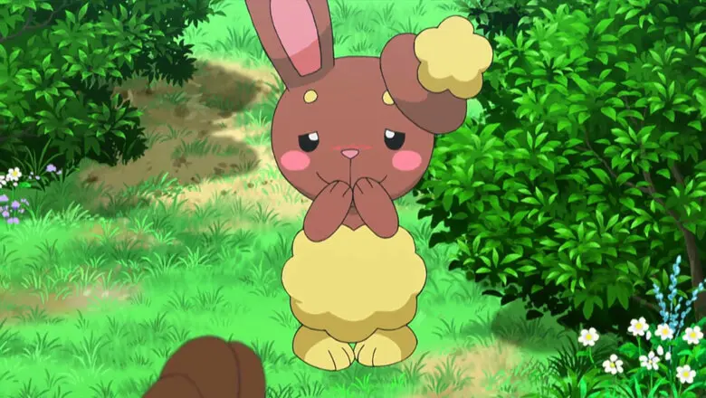 Buneary Pokemon
