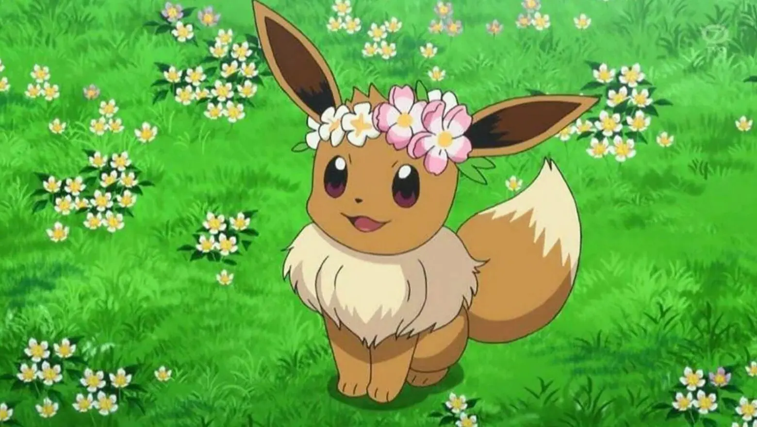 Eevee Corona de Flores Pokemon