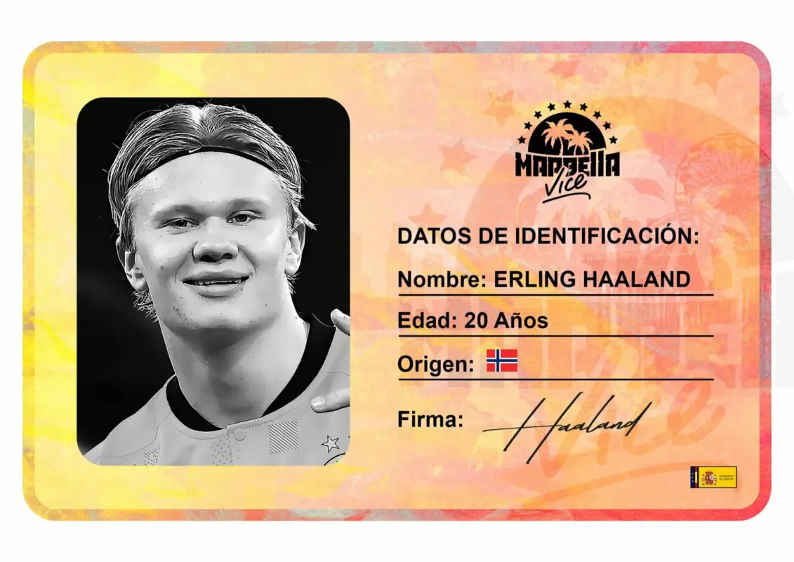 haaland ibai