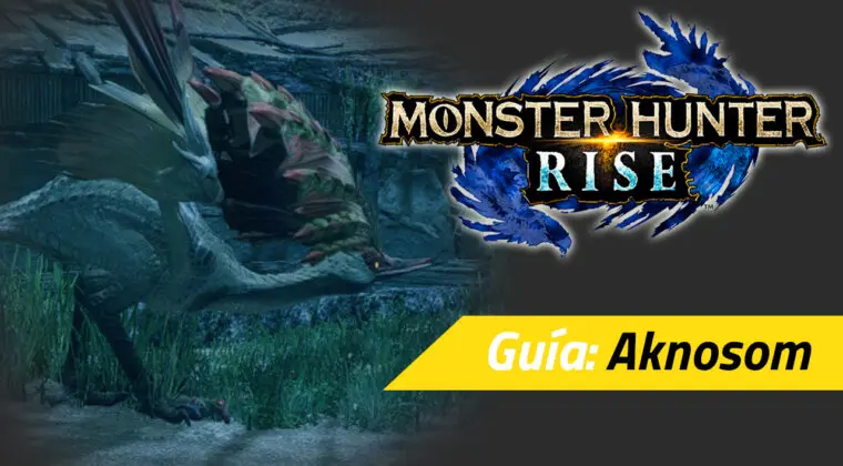 Imagen de Guía Monster Hunter Rise - Cómo cazar al Aknosom: debilidades, materiales rango alto y más
