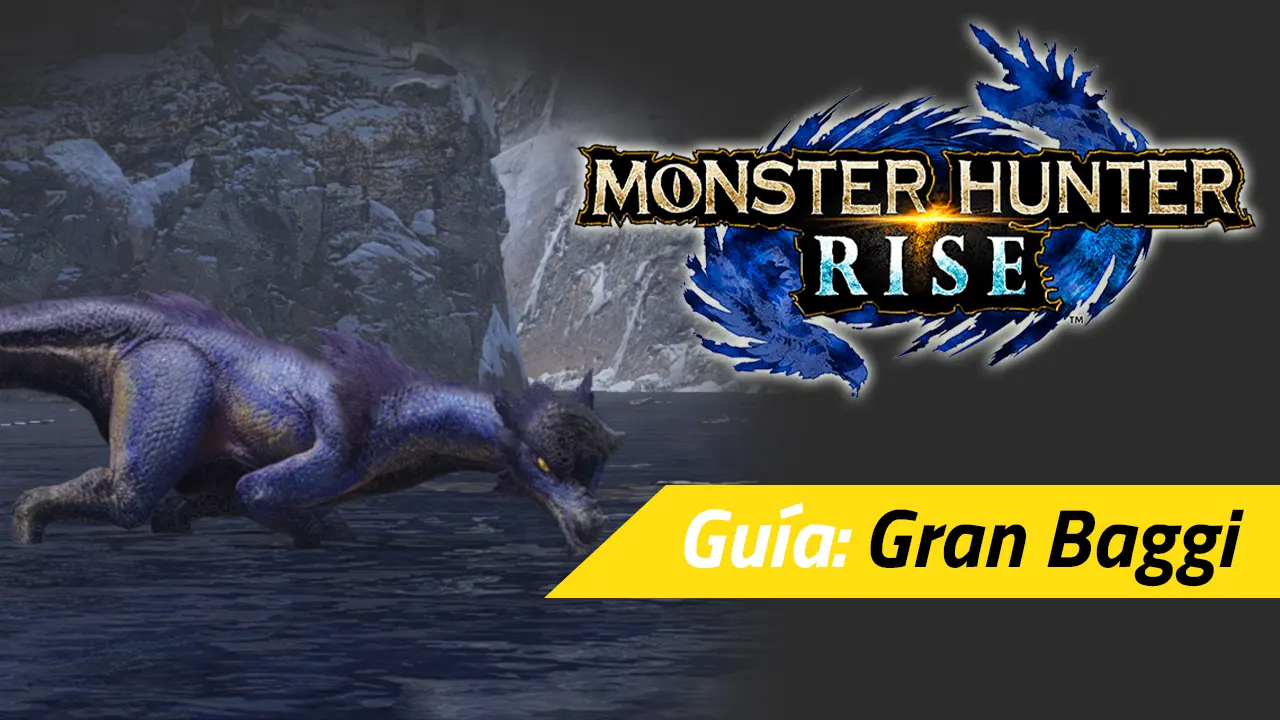 monster hunter rise gran baggi