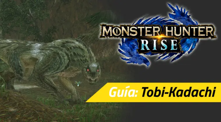 Imagen de Guía Monster Hunter Rise - Cómo derrotar al Tobi-Kadachi: debilidades, materiales rango alto y más