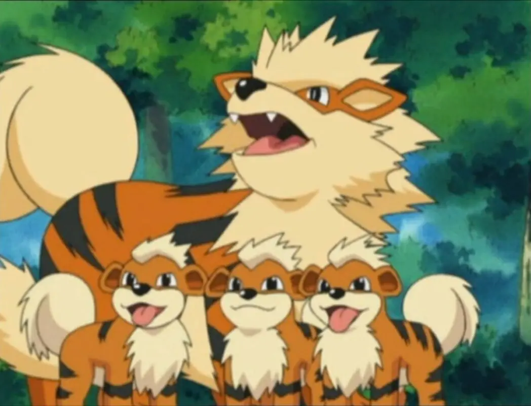 Growlithe Arcanine Pokemon