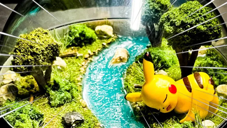 Pokémon