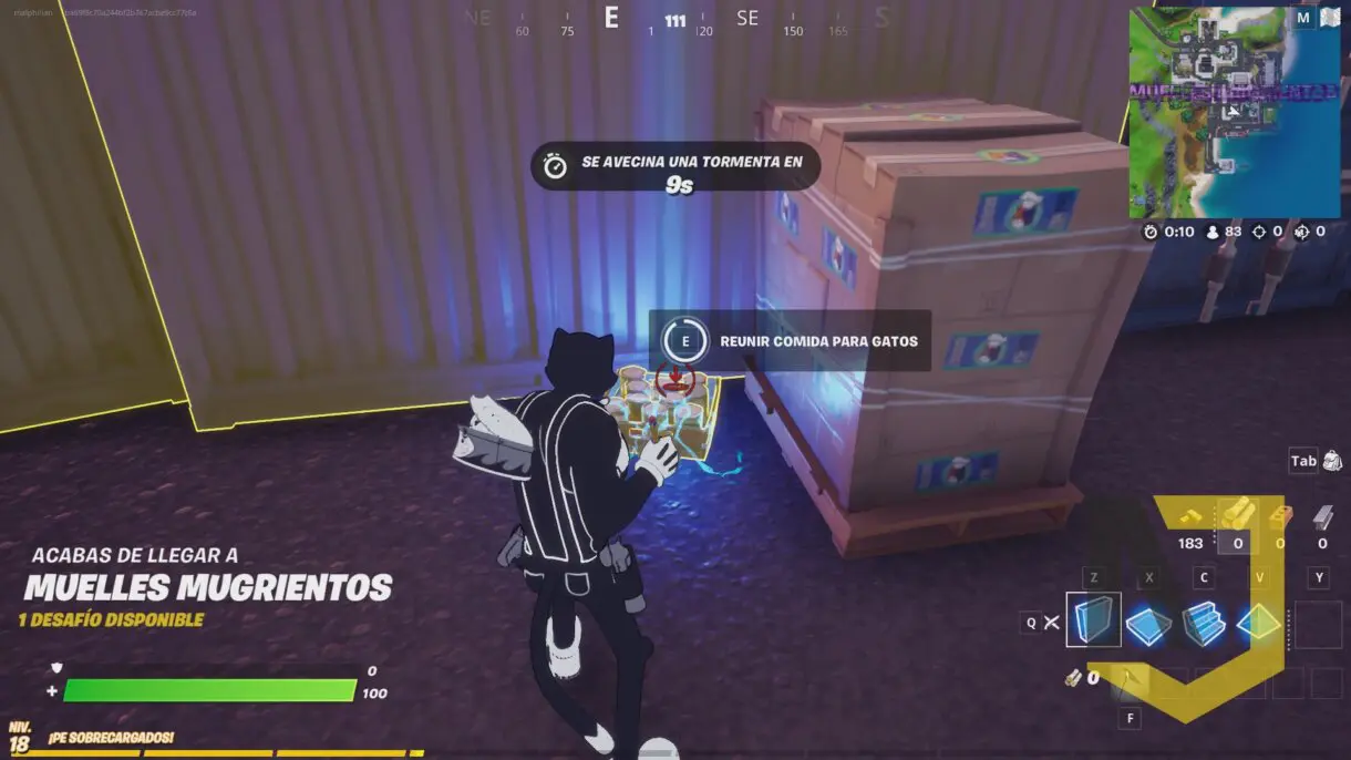 fortnite gato 1