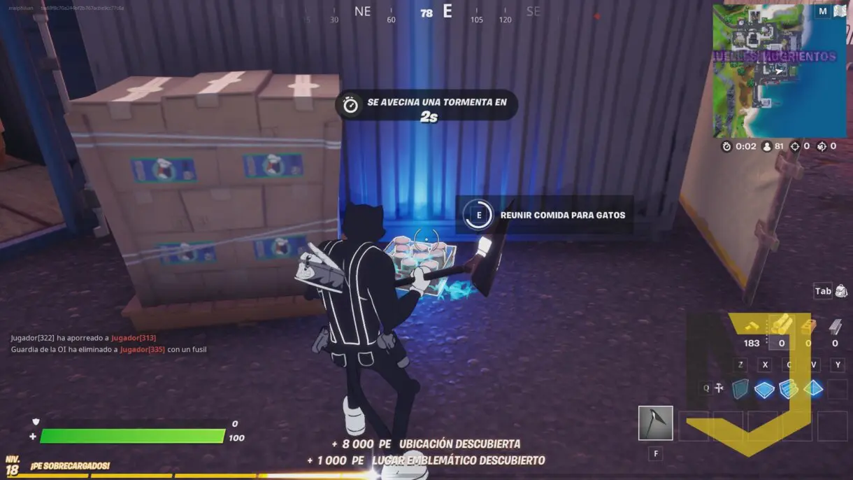 fortnite gato 2
