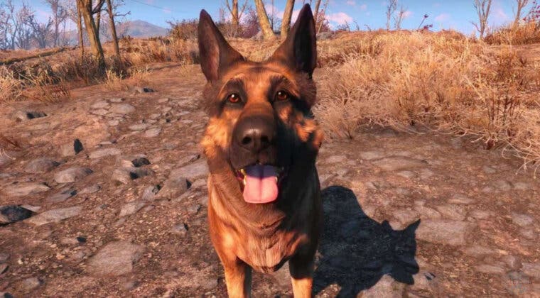 Imagen de River, la perra que sirvió para crear a Albóndiga de Fallout 4, ha fallecido