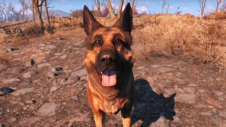 Fallout 4