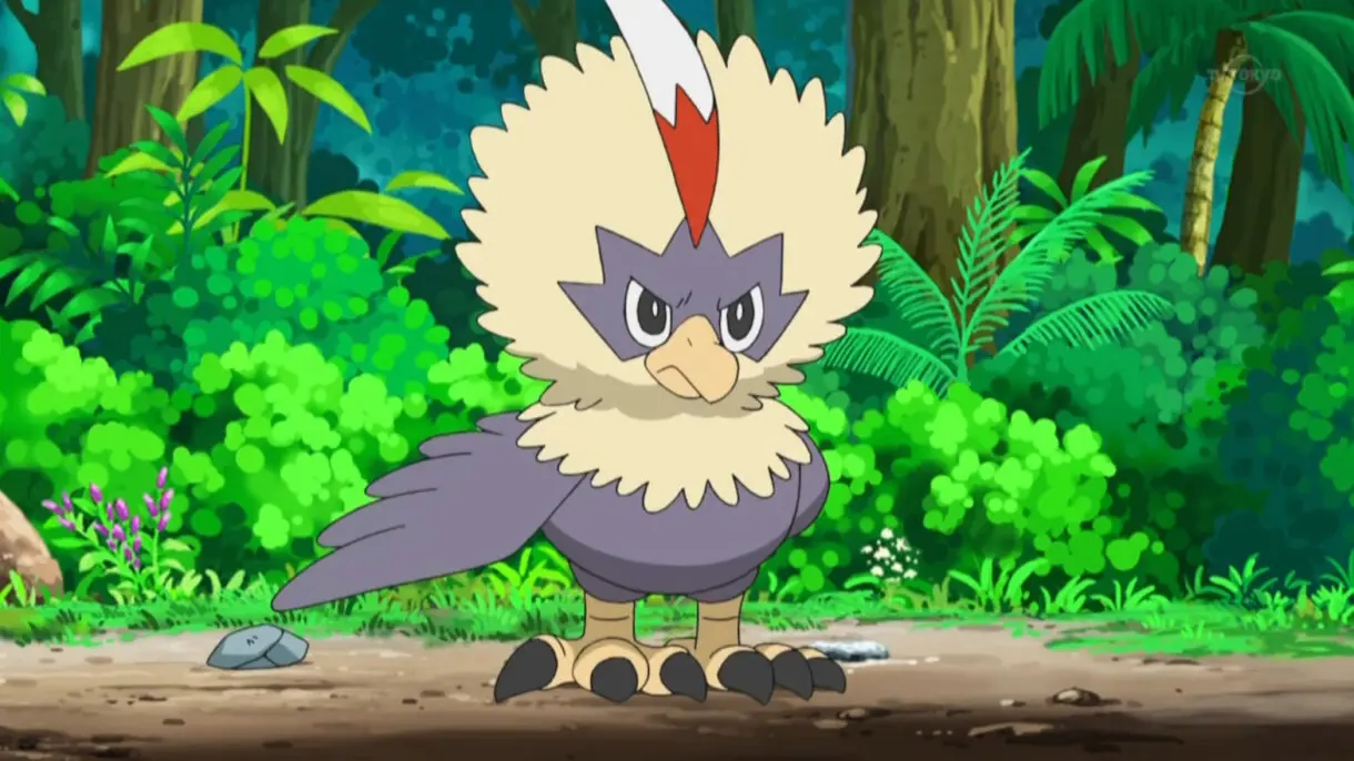 Rufflet Pokemon