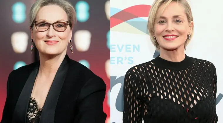 Imagen de La rivalidad entre Sharon Stone y Meryl Streep se hace patente: "hay otras con tanto talento como ella"