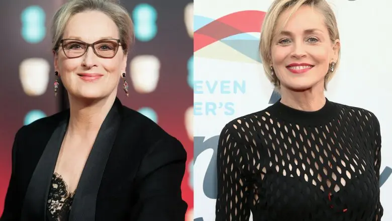 Sharon Stone Meryl Streep