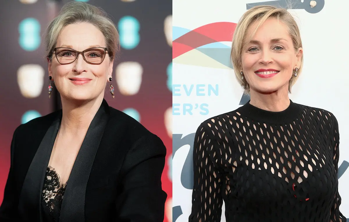 Sharon Stone Meryl Streep