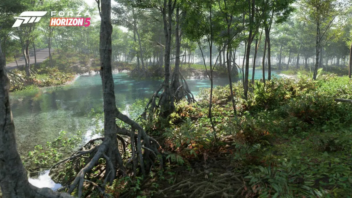 fh5 biome swamp 02 16x9 wm